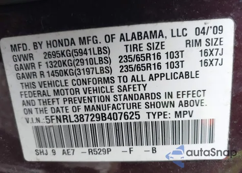 2009 Honda Odyssey Ex-L из США, поврежденный, VIN 5FNRL38729B407625